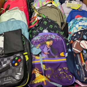 wholesale branded backpack pallet