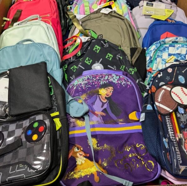 wholesale branded backpack pallet